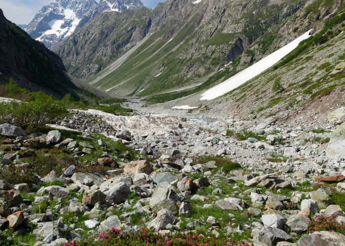 1759507196-pexels-philippe-serrand-337910945-16633822 (1).jpg